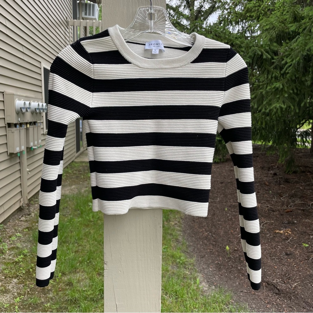 PROMISE Small Striped Long Sleeve Crop Top